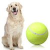 Play Paw - Giocattolo Interattivo per Gatti