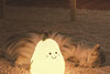Pear Star™️ | Lampada notturna rassicurante per un sonno migliore del tuo bambino (7 colori)