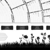 Albero genealogico diagramma