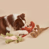 RobustDino - Giocattolo per cani indistruttibile