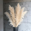 Pampas Bohemien Pluimen - Decorazione Naturale Elegante