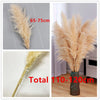 Pampas Bohemien Pluimen - Decorazione Naturale Elegante
