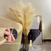 Pampas Bohemien Pluimen - Decorazione Naturale Elegante