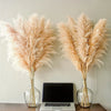 Pampas Bohemien Pluimen - Decorazione Naturale Elegante