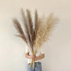 Pampas Bohemien Pluimen - Decorazione Naturale Elegante