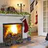 Luci di Natale a Catena - Decorazione LED di Agrifoglio e Bacche