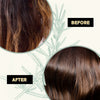 Rozemarijn & Biotine Shampoo + Conditioner Combinatiepakket