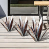 Scultura rustica di agave eterna impermeabile
