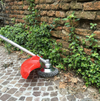 Spazzola e rifinitore per erbacce in acciaio al carbonio