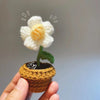 Fiori lavorati a maglia fatti a mano
