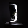 Espositore per scarpe galleggiante con lampada LED – Presentazione unica