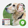 Localizzatore GPS per cani e gatti
