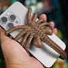 Orribile Supporto per Telefono Facehugger