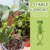 Kikker Supporto per piante - Protezione & Crescita