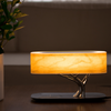 BaumLicht | Lampada da tavolo LED wireless con altoparlante Bluetooth integrato
