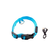 Collare LED Ricaricabile USB | Illuminazione Sicura per Cani
