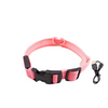 Collare LED Ricaricabile USB | Illuminazione Sicura per Cani