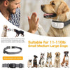 BellControl Pro – Collare antiabbaio efficace di alta qualità per cani