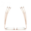 PrettyVision | Luxury Reading Glasses for Radiant Elegance and Comfort