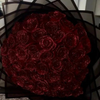Rose glitter della fioritura eterna