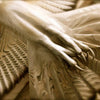 Majestic Owl Wood Wall Sculpture - Elegante Natuurlijke Wanddecoratie