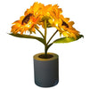 Verbluffende Bloemenlamp voor een Magische Sfeer