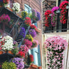 BloomHaven - Cesto di Fiori Sospeso Resistente alle Intemperie
