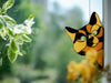 PrismPurr - Casa per gatti con effetti lucidi