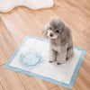 Cuscino per cani