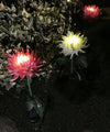 Luci di Crisantemo Artificiali – Illuminazione Solare da Giardino per un Giardino Incantevole