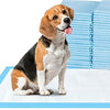 Cuscino per cani