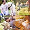 BellControl Pro – Collare antiabbaio efficace di alta qualità per cani