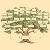 Albero genealogico diagramma