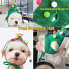 Set Natalizio Festivo per Animali Domestici - Cappello & Bavaglino