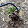 WeedBuster | Diserbante Manuale per Giardinaggio Efficiente
