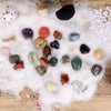 Adventskalender voor kinderen | Educatieve ontdekking 5