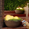 Pave Illuminazione da Giardino - Elegante Illuminazione Esterna per Giardini e Terrazze