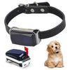 Localizzatore GPS per Animali Domestici - Sistema di Tracciamento in Tempo Reale per Animali Domestici