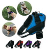 Pettorina EasyWalk Anti-Trek per Cani - Camminare Sicuro e Confortevole