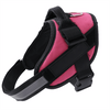 Pettorina EasyWalk Anti-Trek per Cani - Camminare Sicuro e Confortevole