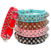 SpikeGuard - Collare Regolabile in Pelle con Borchie per Cani Piccoli e Gatti