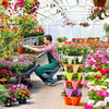 Aardbeien die plantenpotten opstapelen