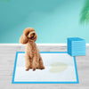 Cuscino per cani