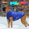 Giacca imbottita reversibile per cani