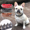 SpikeGuard - Collare Regolabile in Pelle con Borchie per Cani Piccoli e Gatti