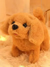 Interactieve Hondenknuffel voor Kinderen - Zachte Pluche Hond die Blaft en Beweegt - Perfect Speelgoed voor Rollenspel | Golden Retriever