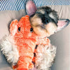 LobsterPlay - Giocattolo interattivo per aragoste