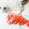 LobsterPlay - Giocattolo interattivo per aragoste
