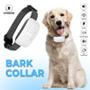 BellControl Pro – Collare antiabbaio efficace di alta qualità per cani