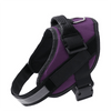 Pettorina EasyWalk Anti-Trek per Cani - Camminare Sicuro e Confortevole